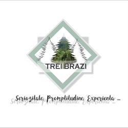 TREI BRAZI PROD COM SRL
