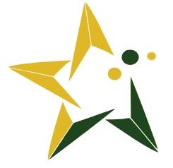 GOLDEN STAR SRL