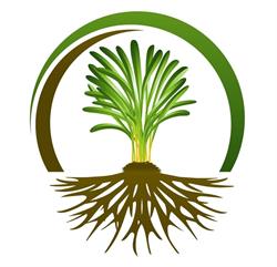 Bio Holistic SRL