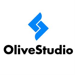 OLIVE STUDIO SRL