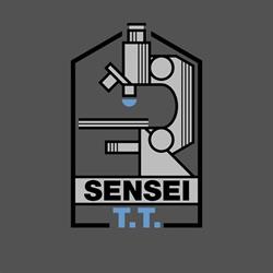 SENSEI T.T. SRL