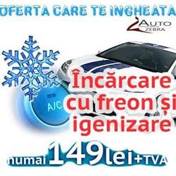 Service Auto Zebra