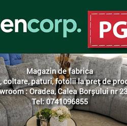 PGS SOFA & CO SRL
