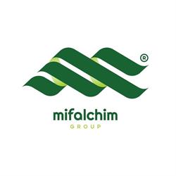 MIFALCHIM GROUP SRL