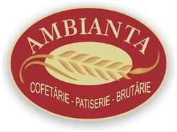 AMBIANTA COM SRL