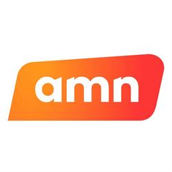 AMN SYSTEMS RO SRL