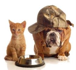 PET & FOOD OUTLET SRL