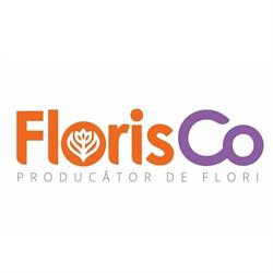 Floris