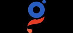GESTIONE CALORE SRL