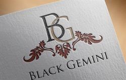 BLACK GEMINI SRL