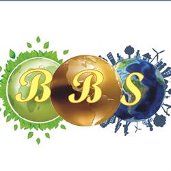 BBS Consulting System
