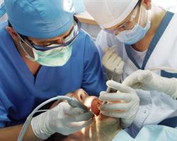 Chirurgie dentara
