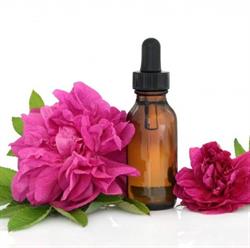 CLINICA SEMPERVIVA SRL