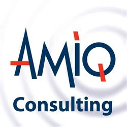 AMIQ CONSULTING SRL