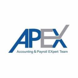 APEX TEAM INTERNATIONAL SRL