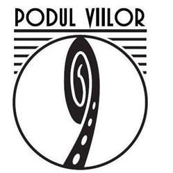 PODUL VIILOR 9 SRL