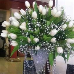Elegance Design