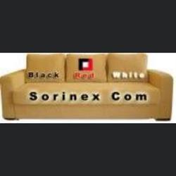 SORINEX COM SRL