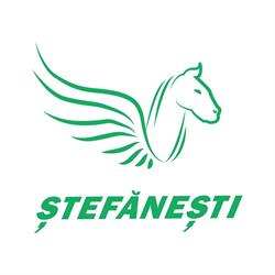 STEFANESTI COM SRL