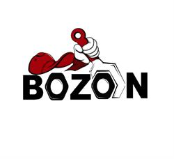 BOZON AUTO SRL