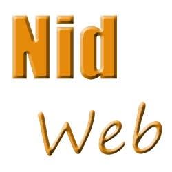 NIDWEB SRL