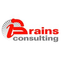 BRAINS CONSULTING SRL