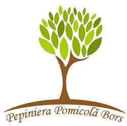 Pepiniera Pomicola Bors