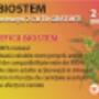 Biostem