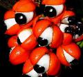 GUARANA