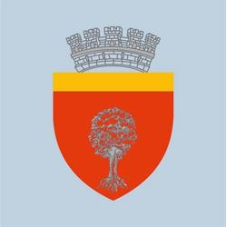 Primaria Municipiului