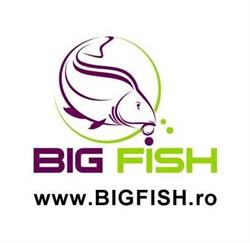 Big Fish