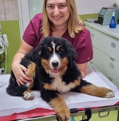 Clinica Veterinara Duo-Vet