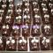 Mini-soricei