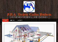Website Dejeu Calin Ruben PFA