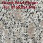 granit pearl flower G383