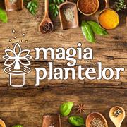 Magia Plantelor