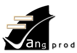 VANG PROD SRL