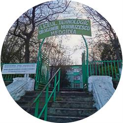 LICEUL TEHNOLOGIC DRAGOMIR HURMUZESCU