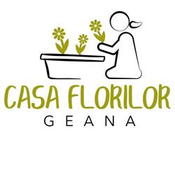 GEANA SRL