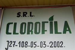 CLOROFILA SRL