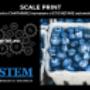 Scale Print