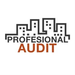 PROFESIONAL AUDIT SRL