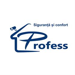 PROFESS TEAM SRL