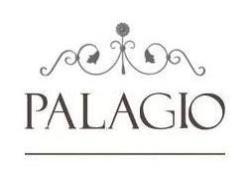 PALAGIO SYSTEM GROUP SRL