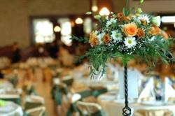 TEODORA CRIS EVENTS SRL