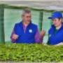 SC Diaplant SRL din Tecuci (jud. Vrancea).