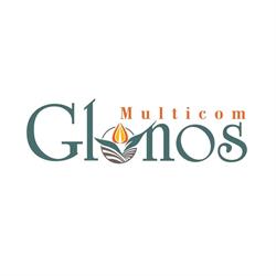 SC GLONOS MULTICOM SRL