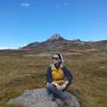 Recenzii