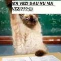 Recenzii