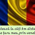 Recenzii